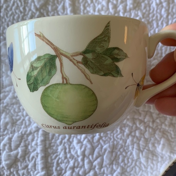 💙Wedgwood 💙Cup & Saucer x 2 - Picture 4 of 8